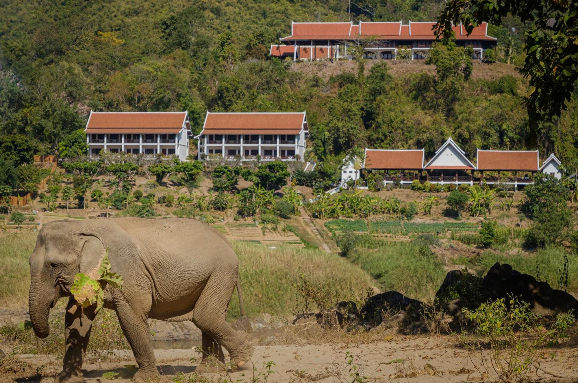 The Sanctuary Pakbeng Lodge Екстериор снимка