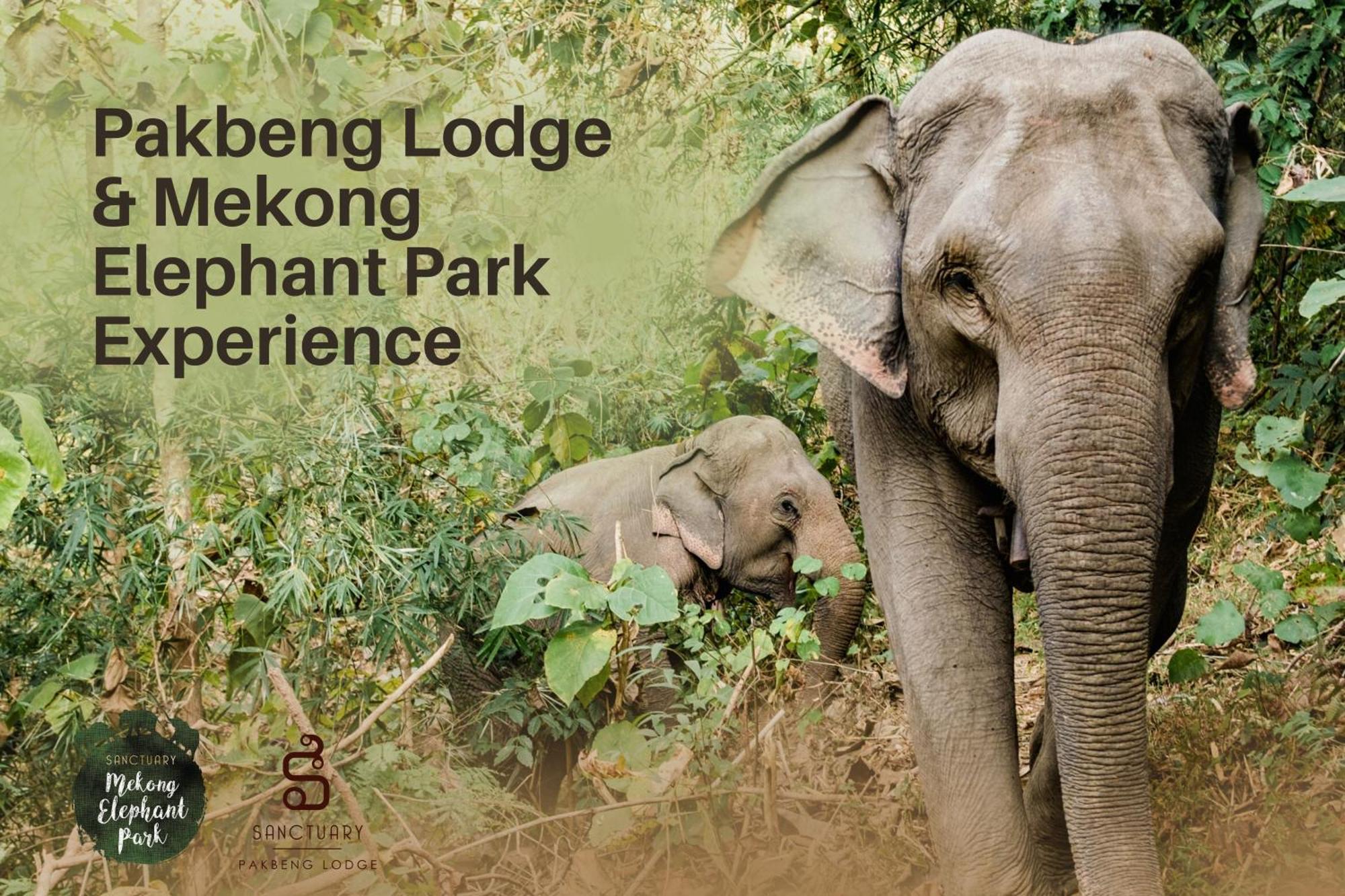 The Sanctuary Pakbeng Lodge Екстериор снимка